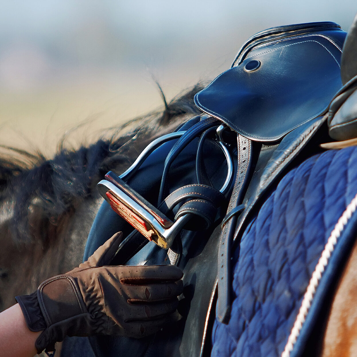 Saddle with stirrups on a back of a horse